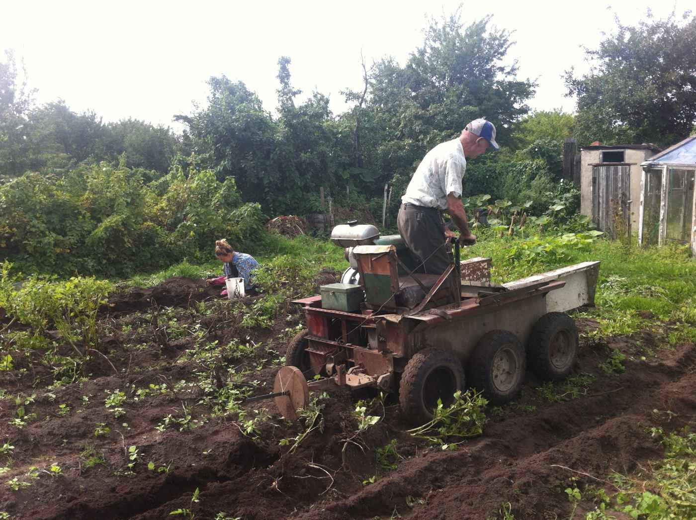 Sasha driving The Six Wheel Drive Potato Harvesting Machine