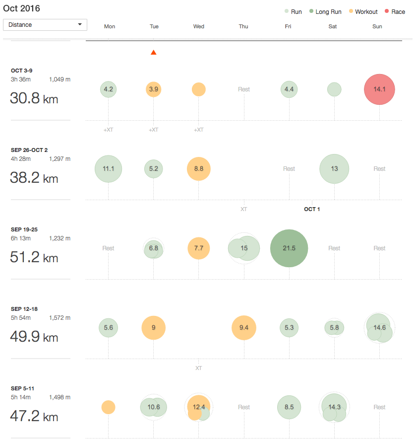 Strava training log for the month leading up to the race